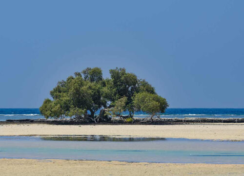 Hankorab-Laguna Qulaan